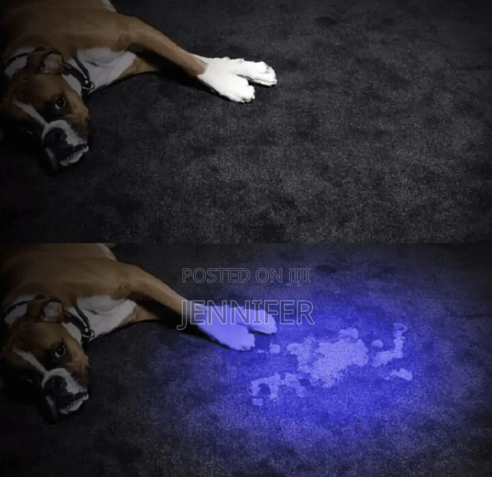 Portable Battery _ Powered Counterfeit Money Detector Torch