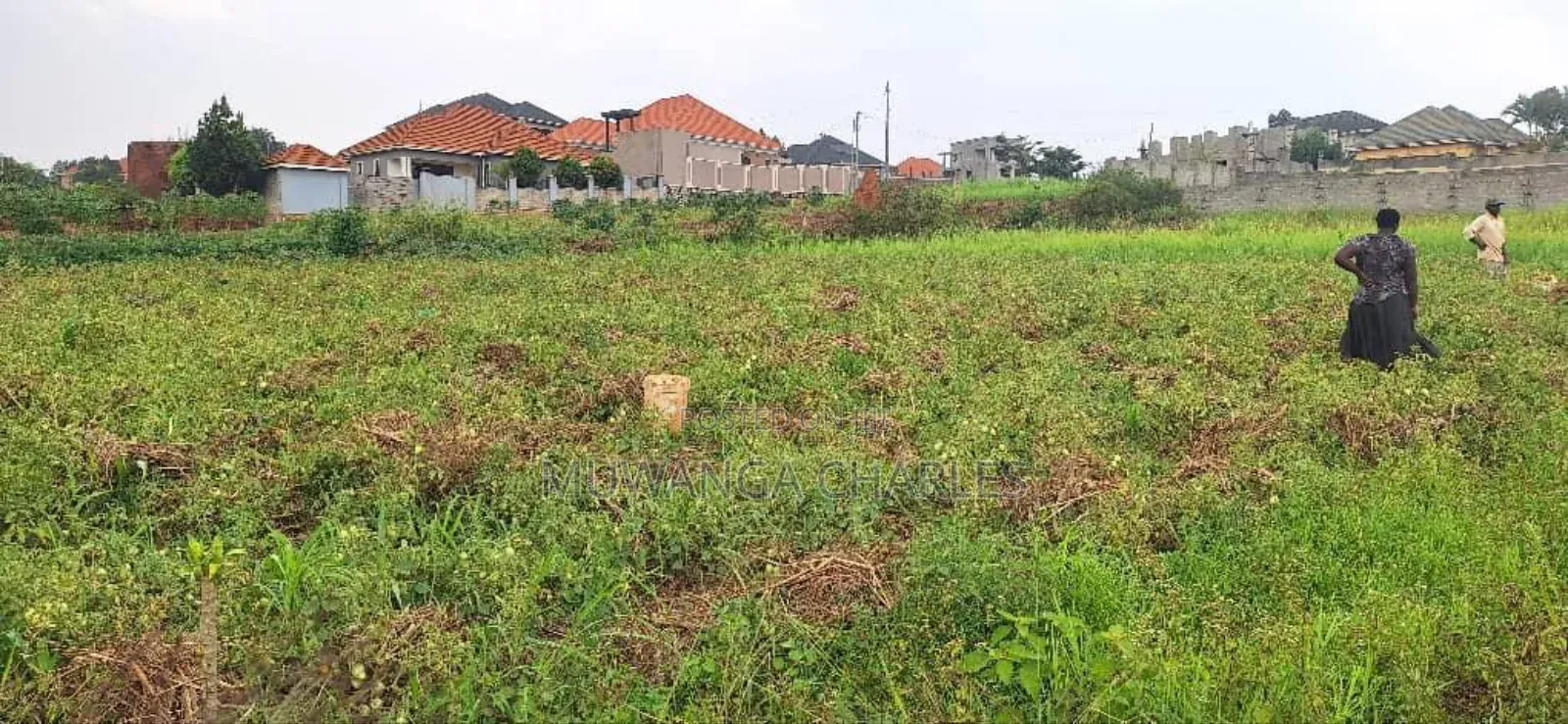 Plot for Sale in Gayaza Kabanyolo