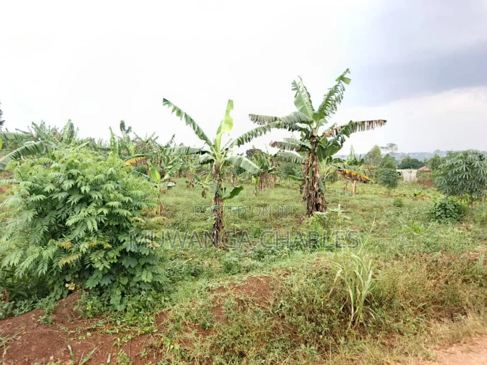 Plot for Sale in Gayaza Kabanyolo