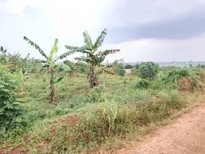 Plot for Sale in Gayaza Kabanyolo