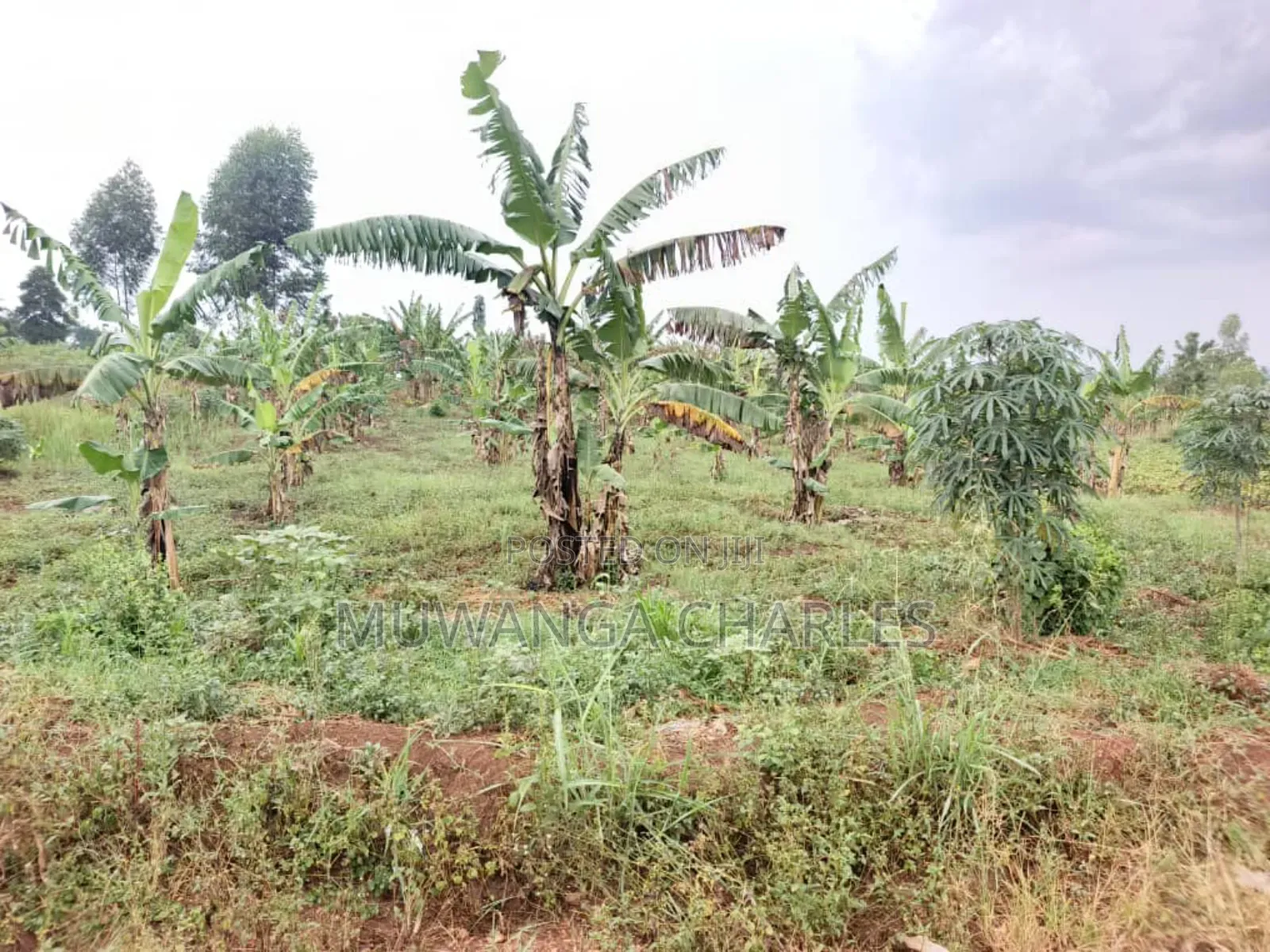 Plot for Sale in Gayaza Kabanyolo