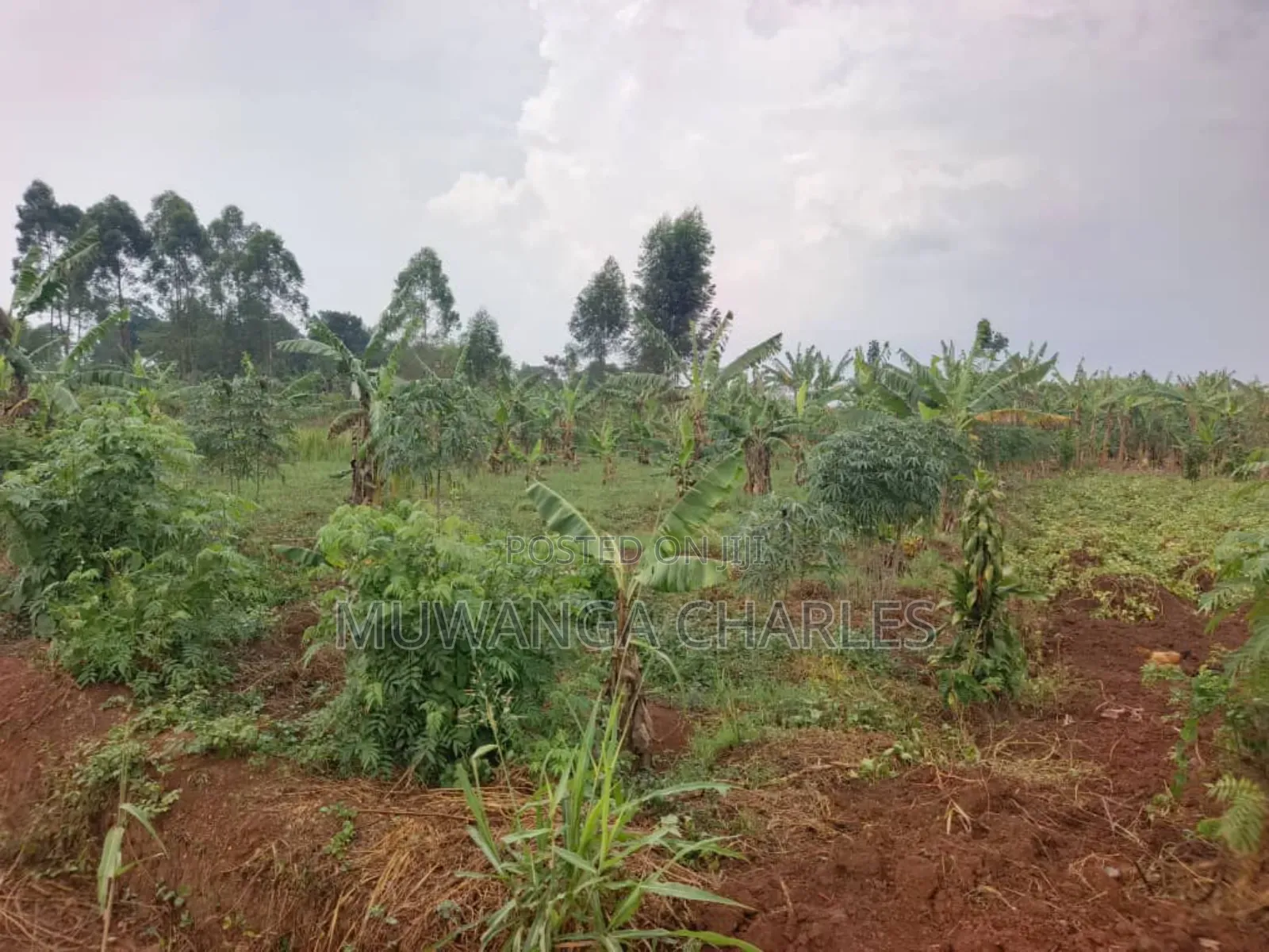 Plot for Sale in Gayaza Kabanyolo
