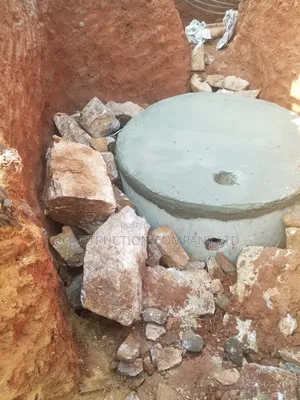 Biodigester