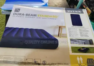 Inflatable Air Mattress