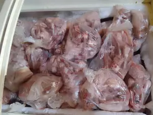 Chicken Off Cuts