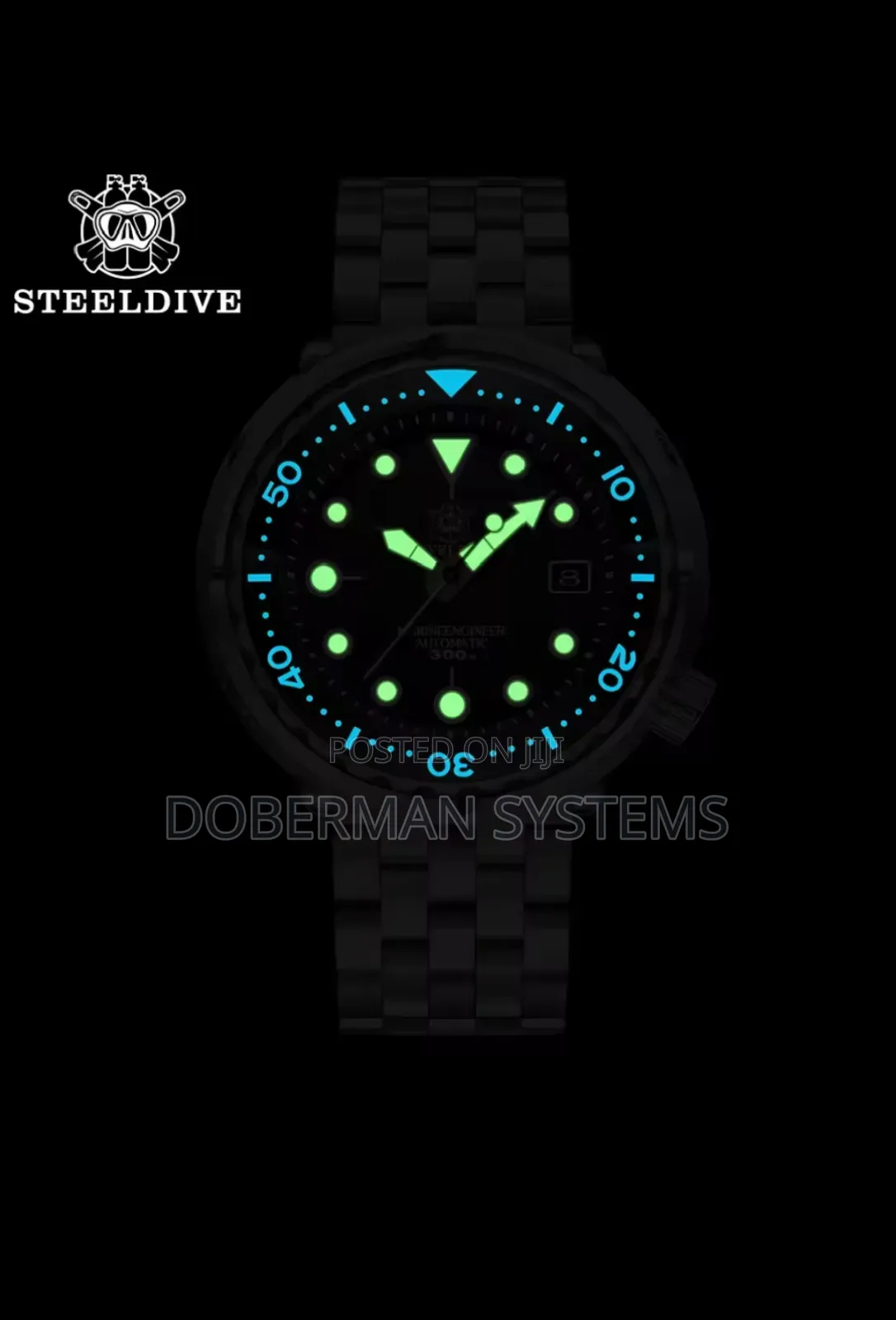 Automatic/Mechanical Watch. Steeldive Sd1975