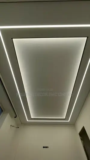 Fancy Gypsum Ceilling