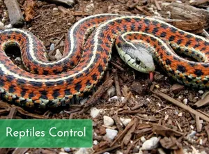 Snake Killing and Repellents.