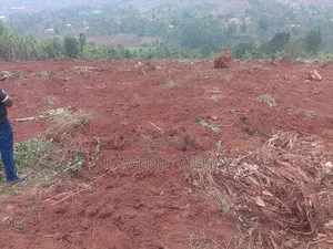 50by100ft Kitavujja 8m