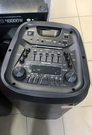 10 Inch Rechargeable Dual Speaker