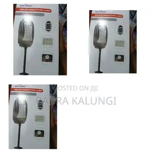 Original and Durable Solar Induction Lamp