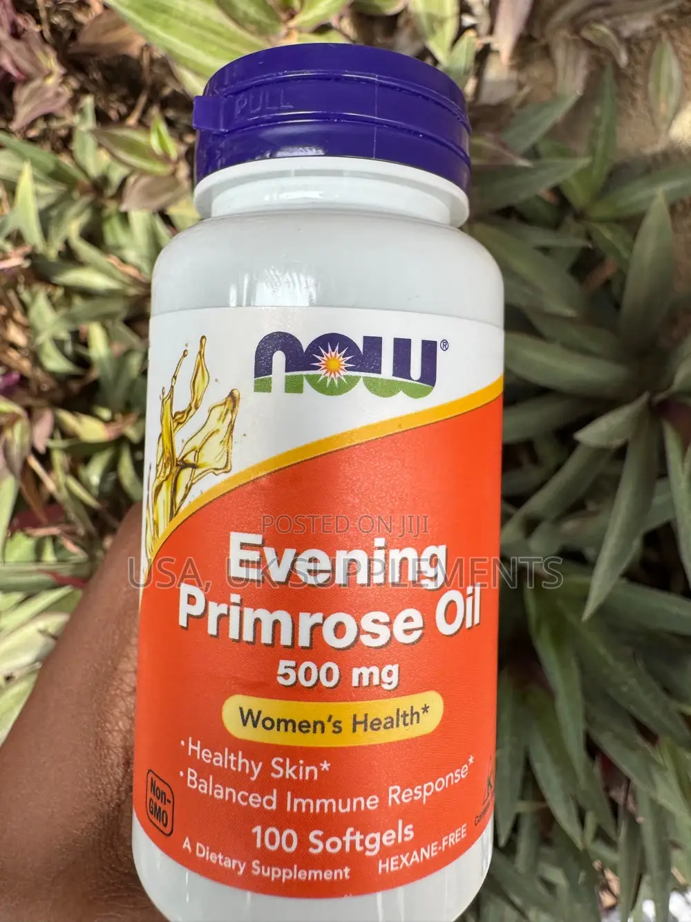 Now Evening Primrose Oil 500g 100softgels