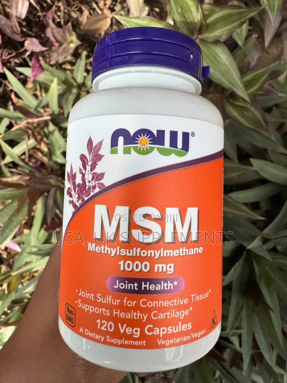 Now MSM 1000mg 120capsules(Arthritis