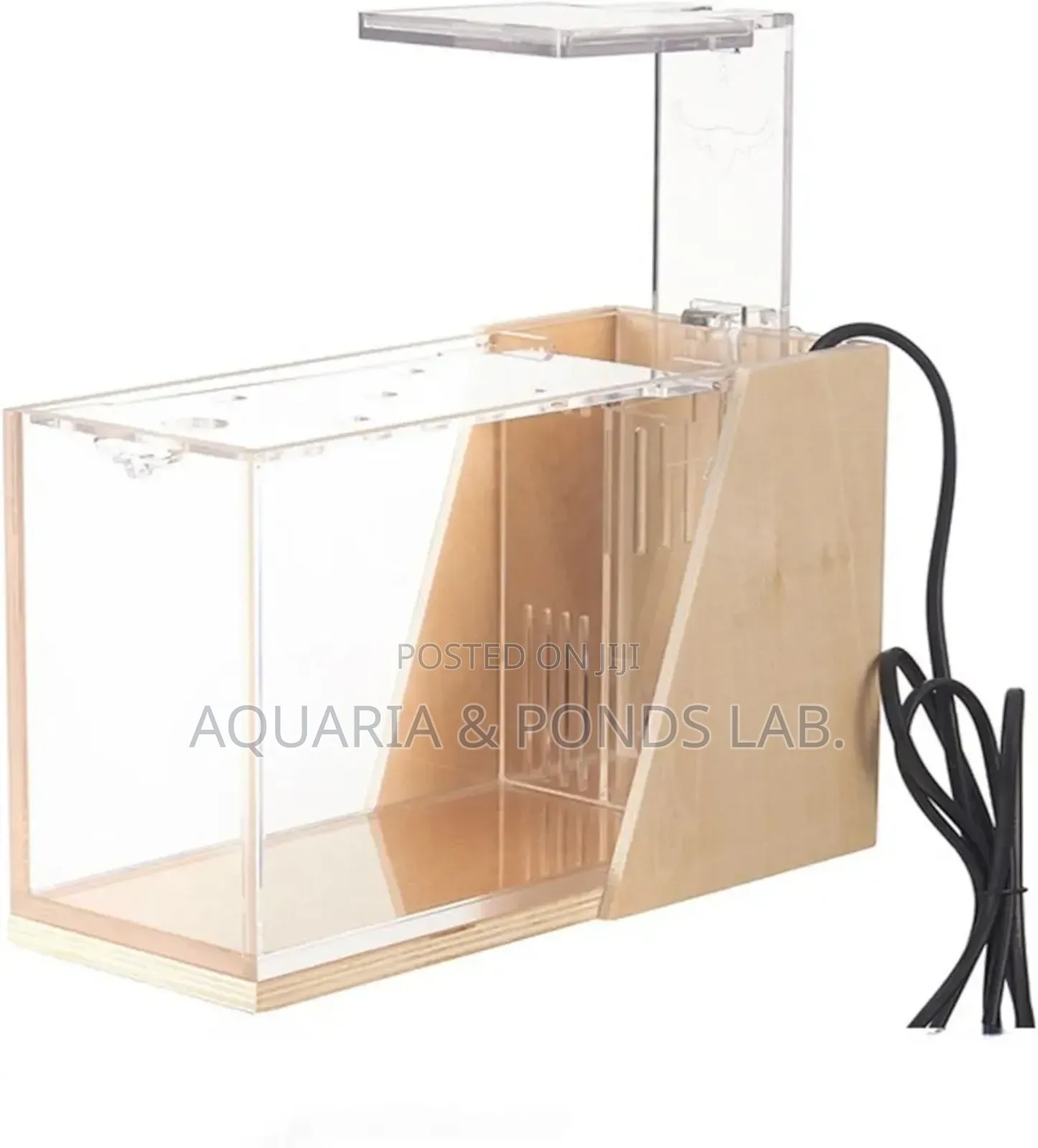 Cheap Desktop Office Aquarium