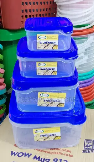 Plastic Storage Containers 4pcs Set