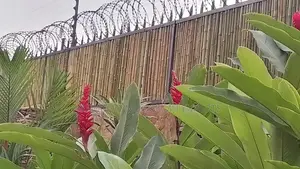Bamboo Terrace