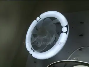 Lighting Fans