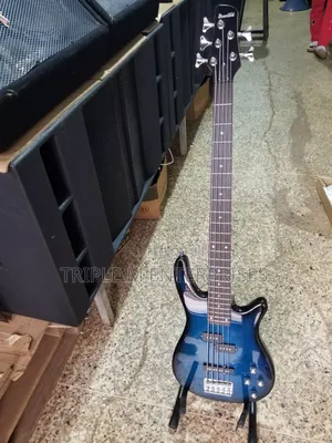 Bass Guitar