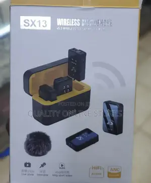 Mini Wireless Microphone