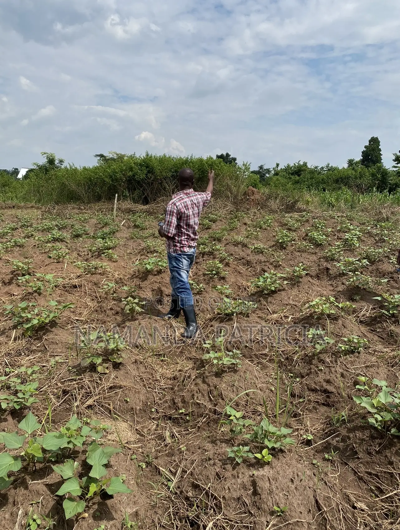 1 Acre Fertile Land With Ready Land Title