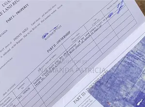 1 Acre Fertile Land With Ready Land Title