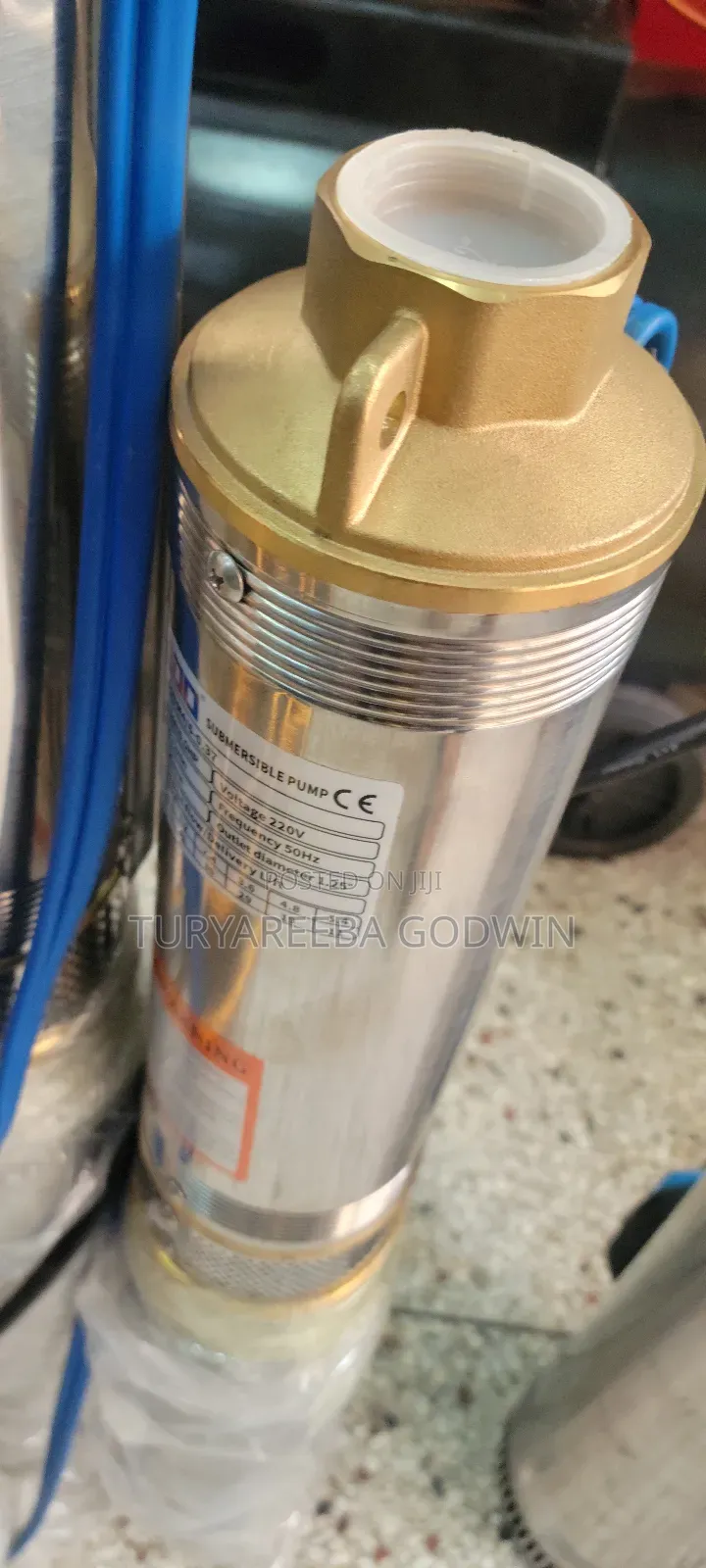 Submersible Electric Waterpump