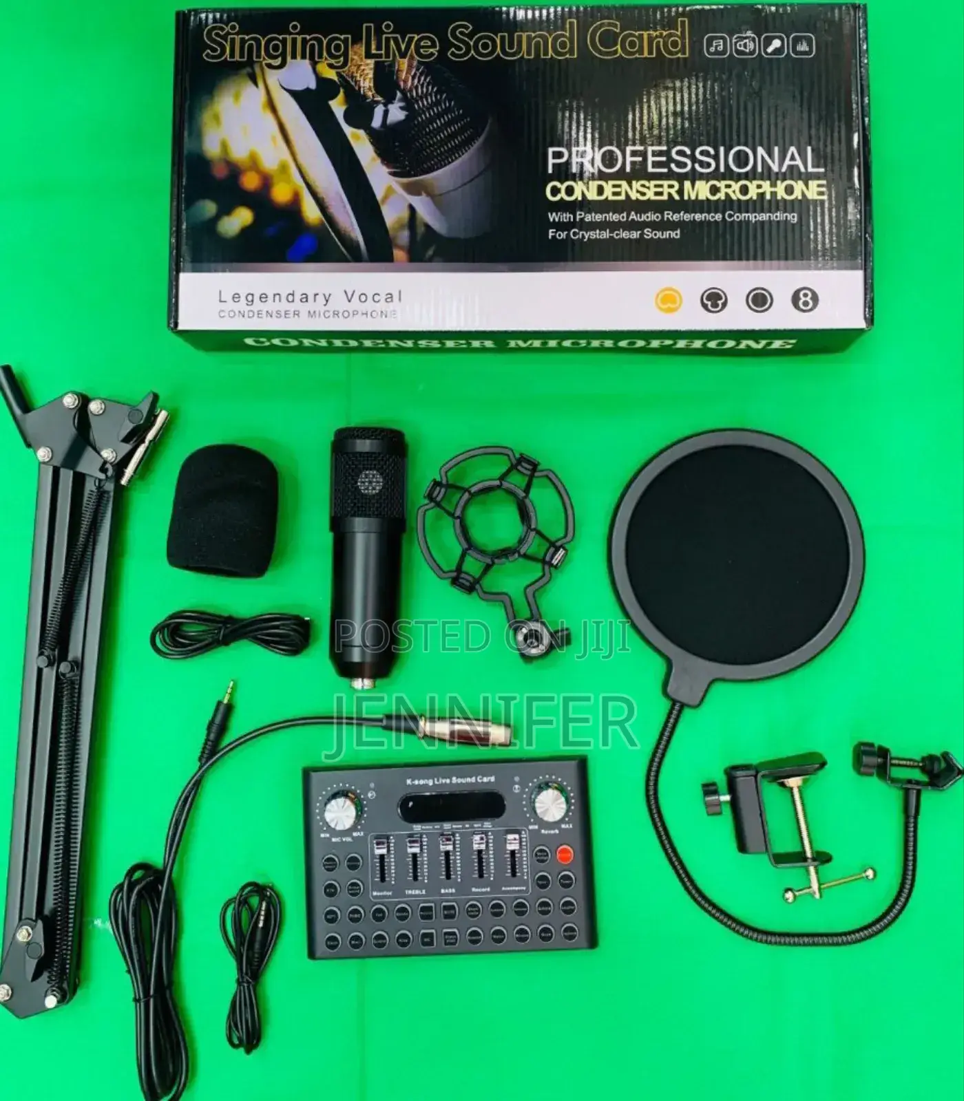V10 Professional Condenser Microphone