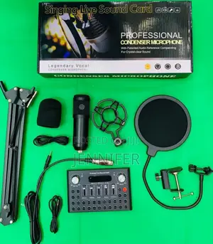 V10 Professional Condenser Microphone