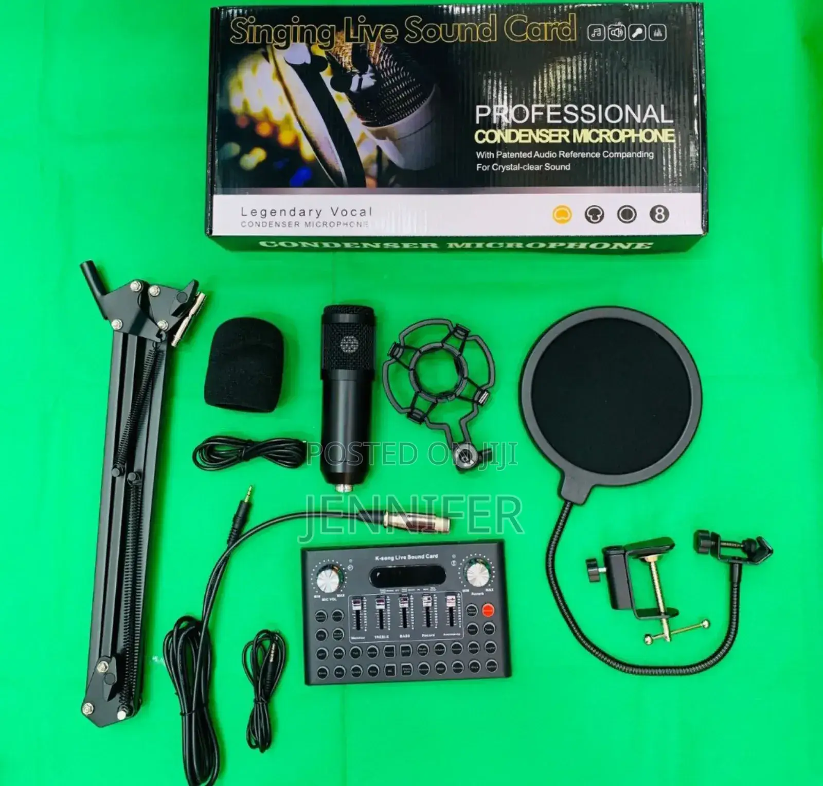 V10 Professional Condenser Microphone
