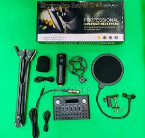 V10 Professional Condenser Microphone