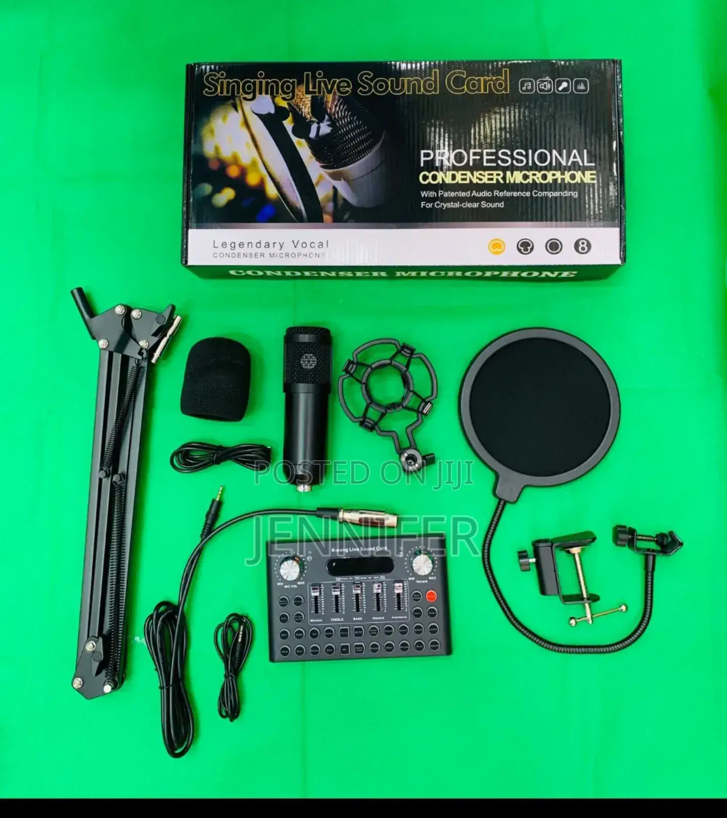 V10 Professional Condenser Microphone