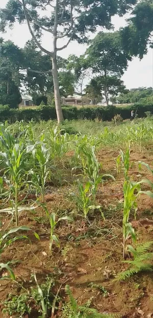 Plot for Sale in Bugema