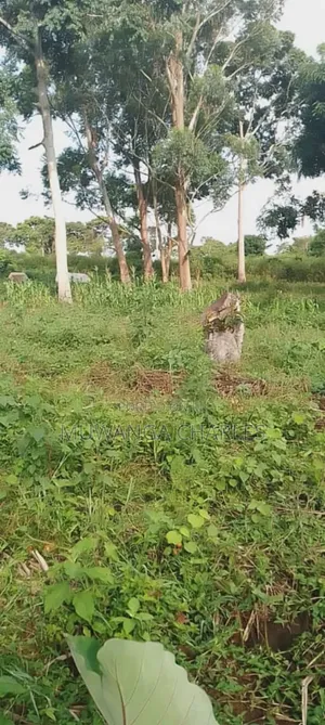 Plot for Sale in Bugema