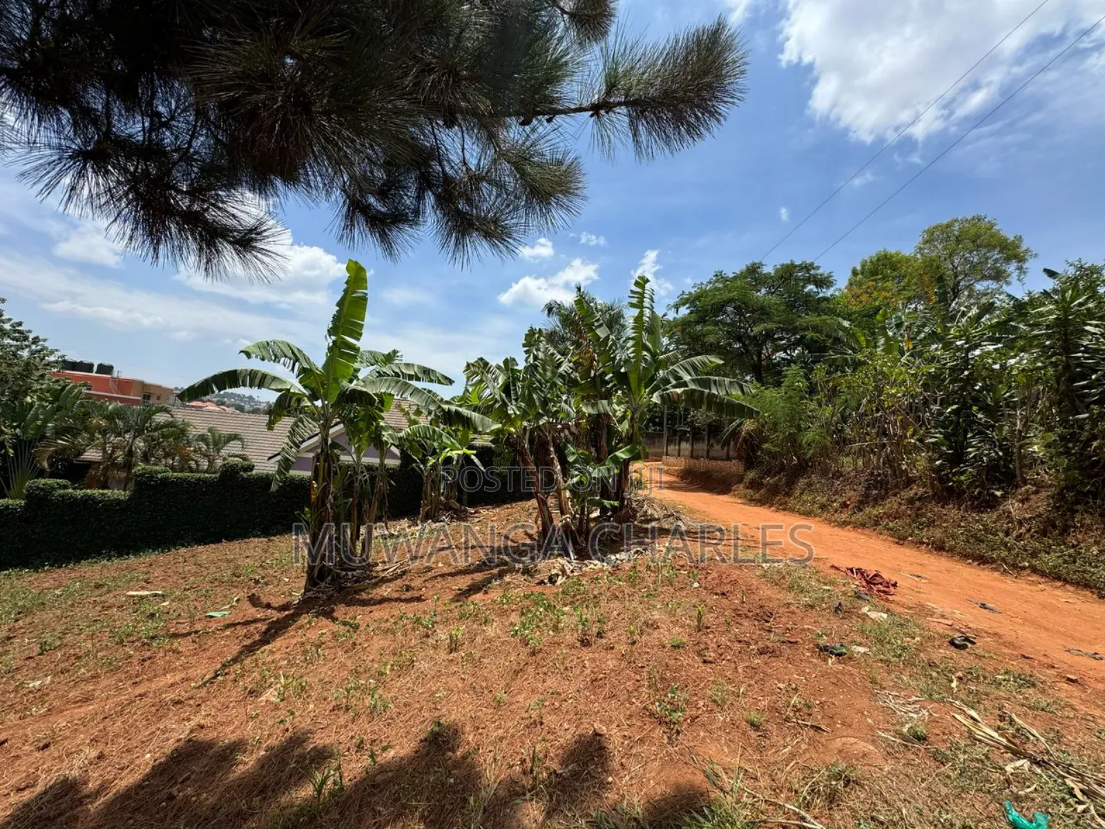 Plot for Sale in Bugema
