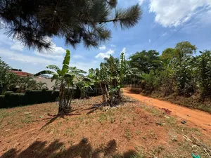 Plot for Sale in Bugema