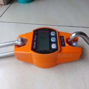 300kg Weigh Accurate Weighing Scale Mini Crane Weighing Scale