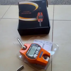 300kg Weigh Weighing Scale Mini Crane High Accuracy Weighing Scale