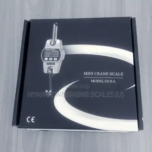 O.C.S 23- L 300kg D=0.1kg Best Price of Mini Crane Scale
