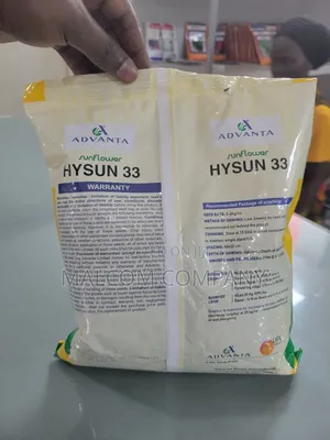 Hysun 33 Sunflower Seeds. 1kg
