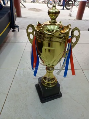 Sports Trophy (Small)