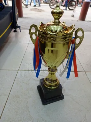 Sports Trophy (Small)