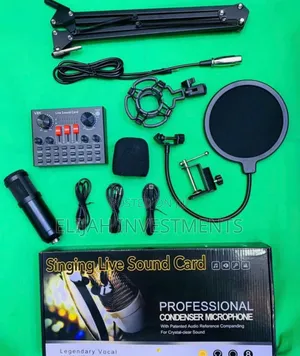 High Quality Professional Condenser Microphone