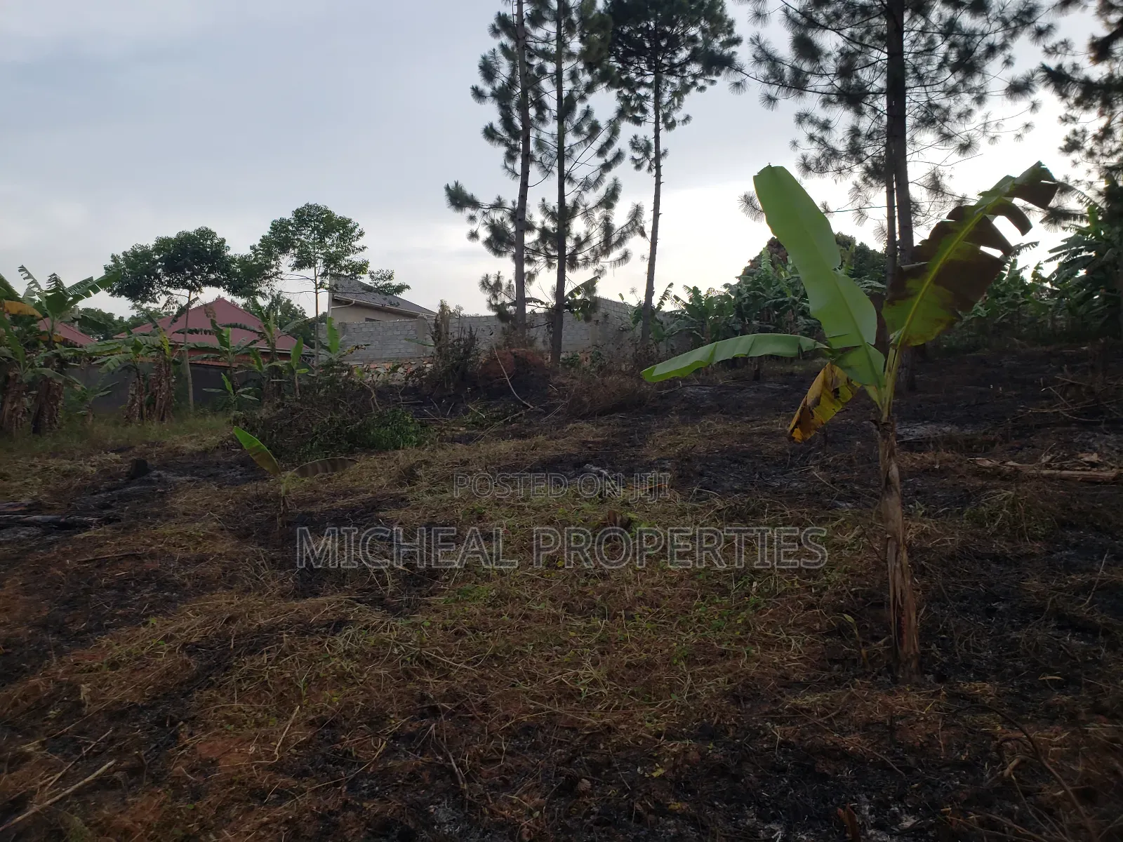 Plot for Sell 100ft by 100ft Kitetika at 120m