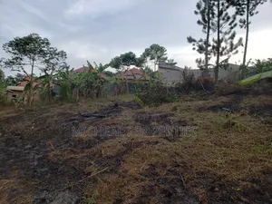 Plot for Sell 100ft by 100ft Kitetika at 120m