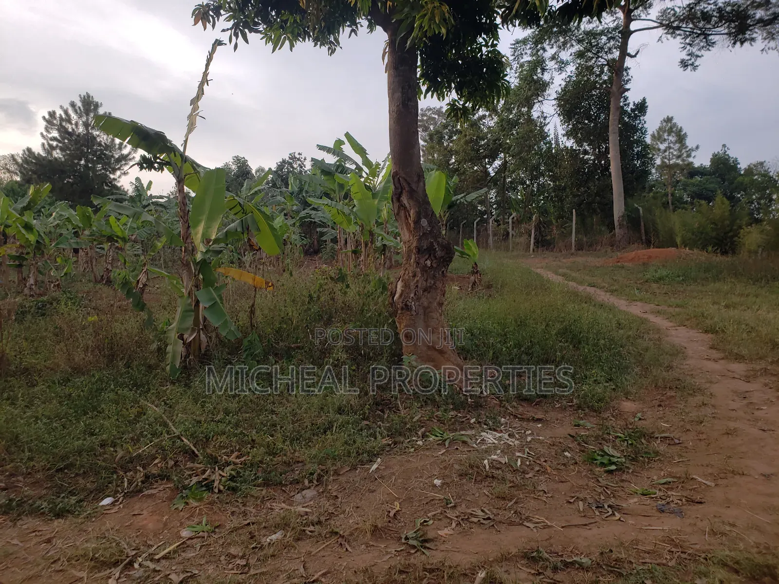 Plot for Sell 100ft by 100ft Kitetika at 120m