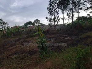 Plot for Sell 100ft by 100ft Kitetika at 120m