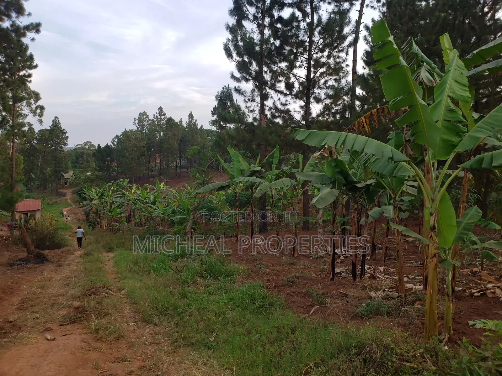 Plot for Sell 100ft by 100ft Kitetika at 120m