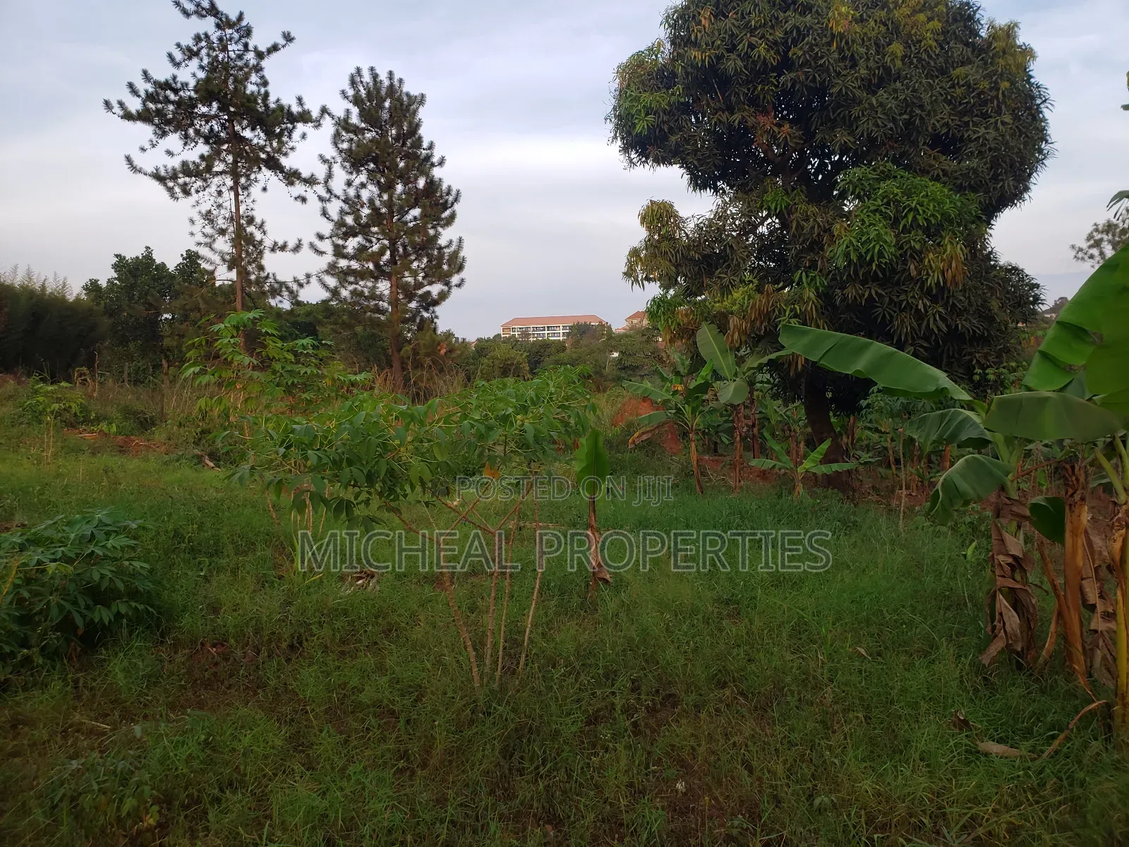 Plot for Sell 100ft by 100ft Kitetika at 120m