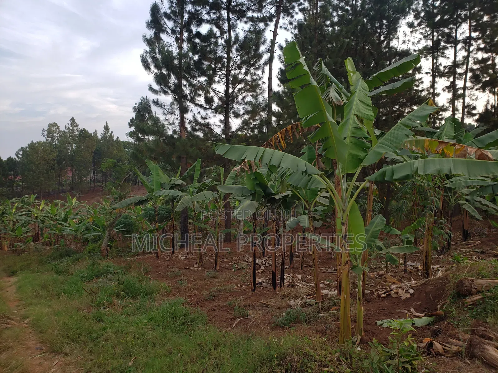 Plot for Sell 100ft by 100ft Kitetika at 120m