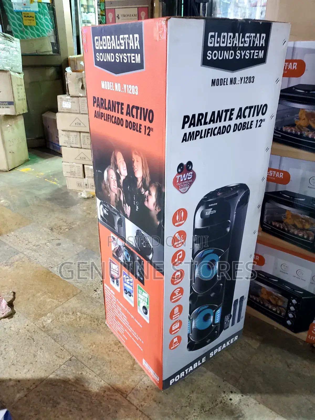 Rechargeable Speaker of 12 Inches of 2 Microphones(Bis Size)